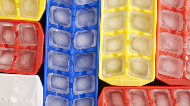 ice cubes in multicolor containers