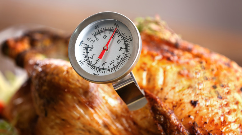 Thermometer in cooked turkey