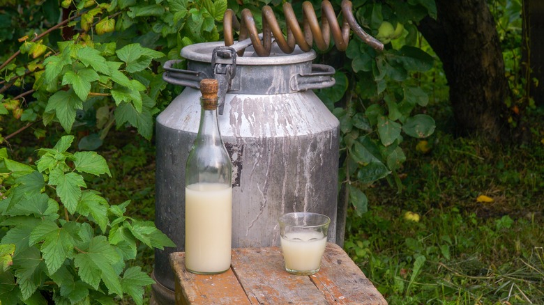 Vat and bottle of moonshine