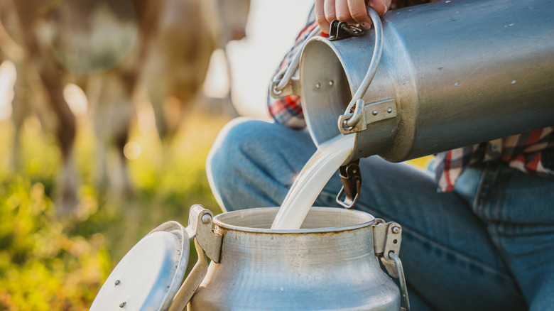 Person pouring raw milk into a container