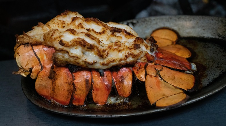 stuffed baked lobster tail
