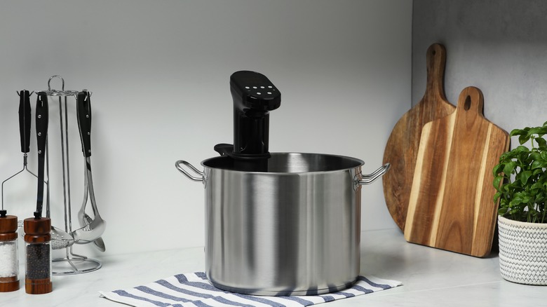 immersion circulator in pot