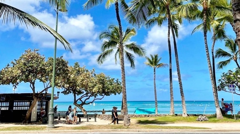 The 14 Best Restaurants On The Waikiki Waterfront