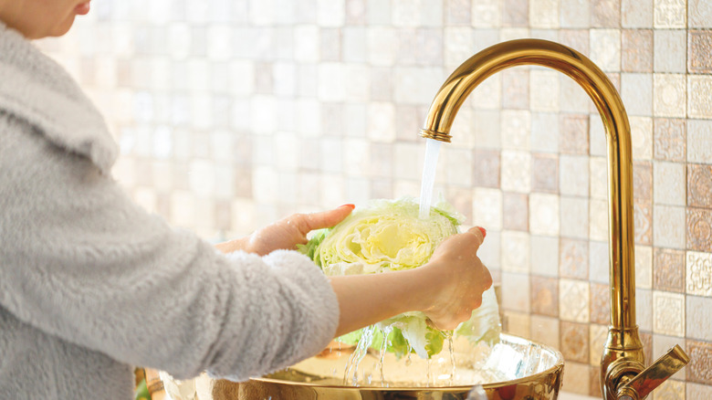 Person washing cabbage in sink