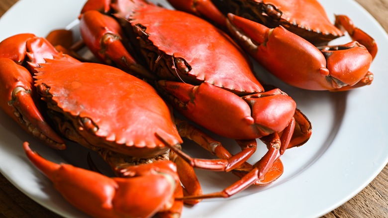 Whole crabs on white plate