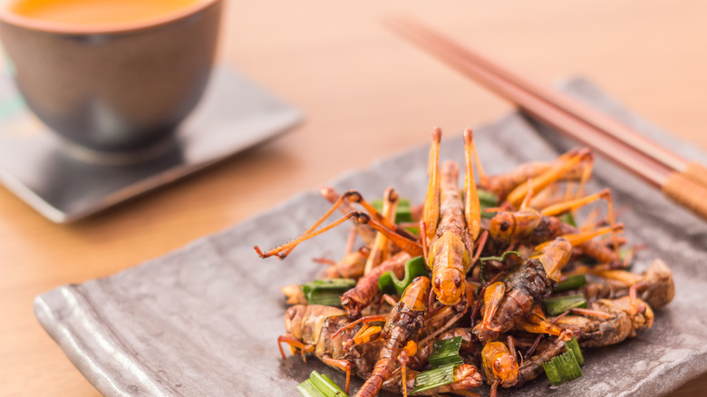 fried grasshoppers scallions chopsticks