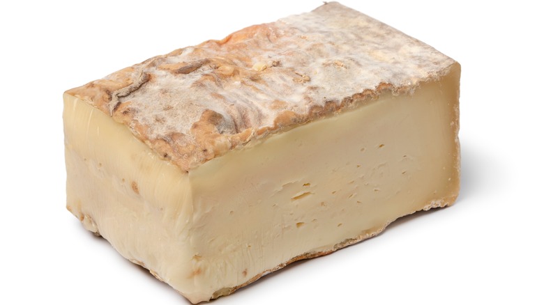 Taleggio cheese with rind