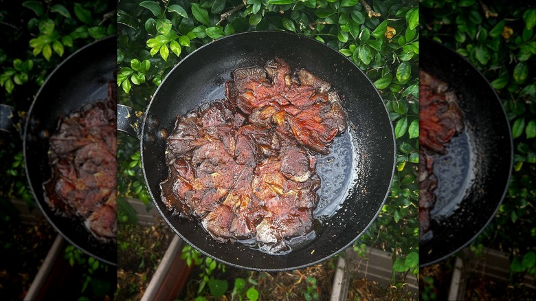 Oyster mushroom steaks