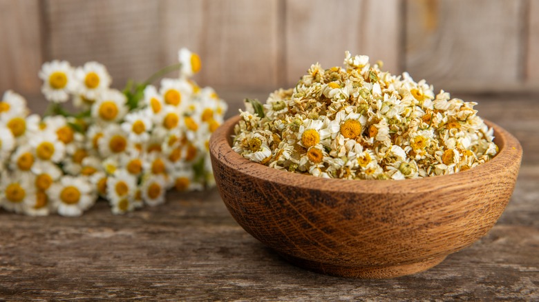 Dried chamomile flowers in bowl