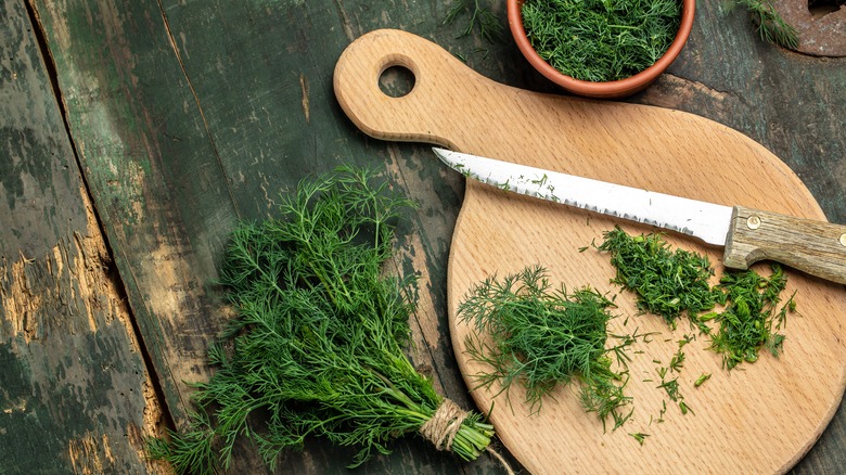 Fresh dill bundled and cut