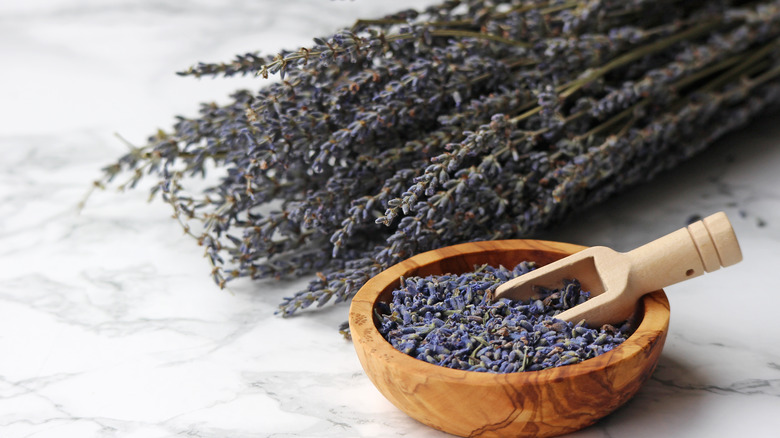 Dried lavender sprigs and flowers