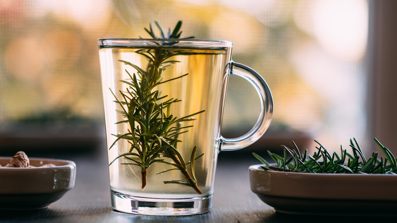 Sprigs of rosemary in tea