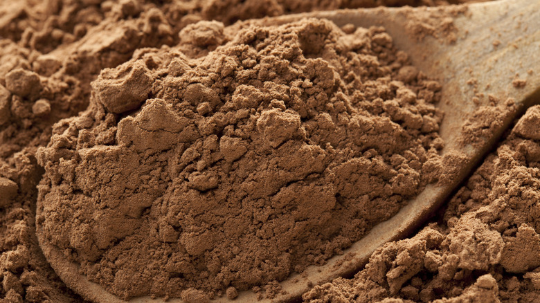 Cocoa powder in wooden spoon