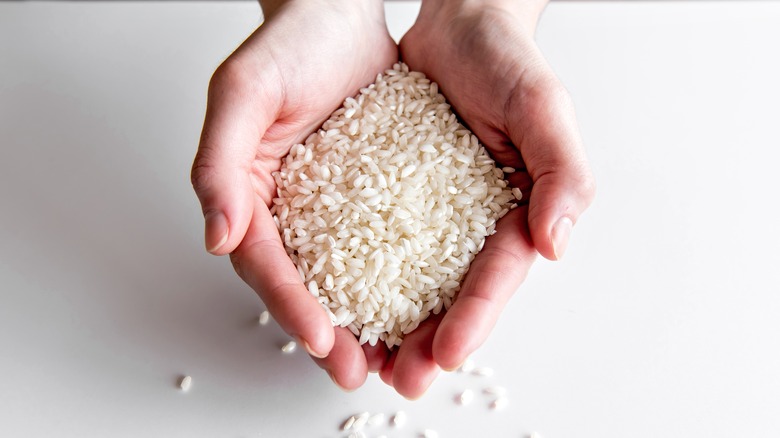 hands holding Arborio rice