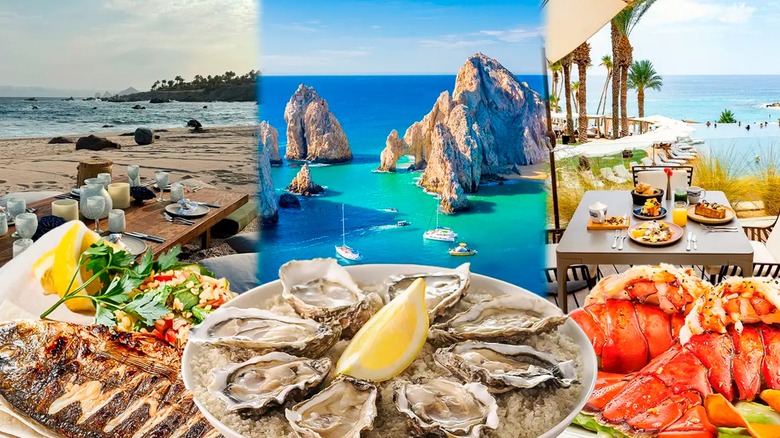 seafood and Los Cabos scenery