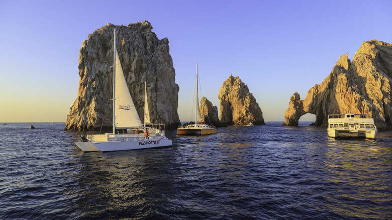 catamarans in Cabo