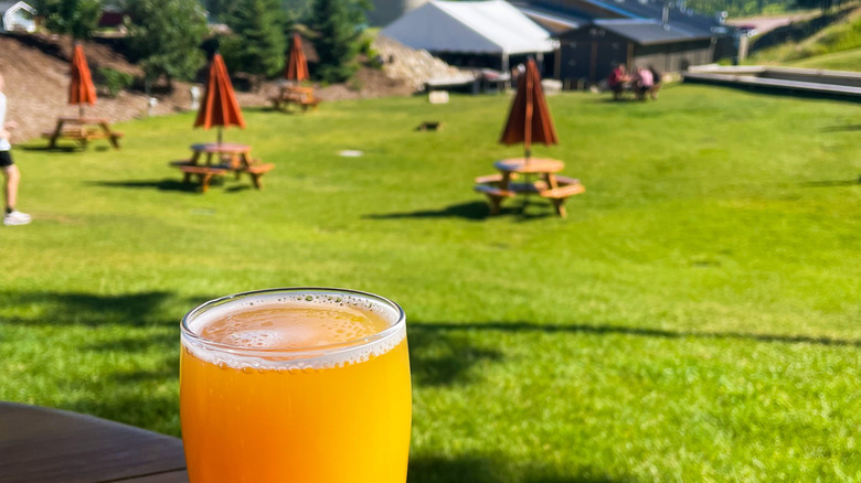 Picnic tables at Miner Brewing Co.