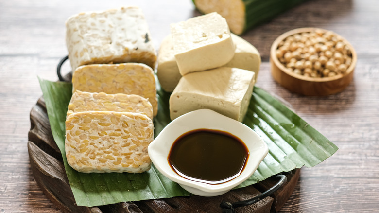 tempeh slices block soybeans