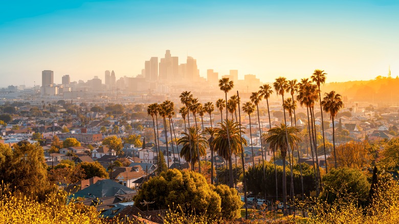 Los Angeles skyline