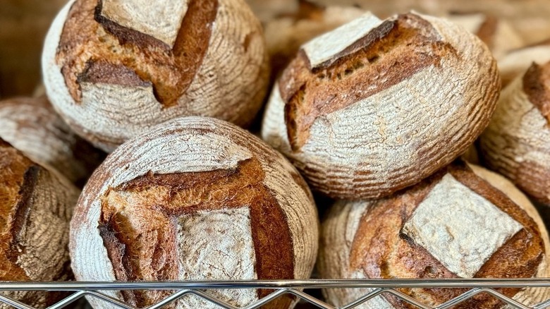 loaves of round crusty bread