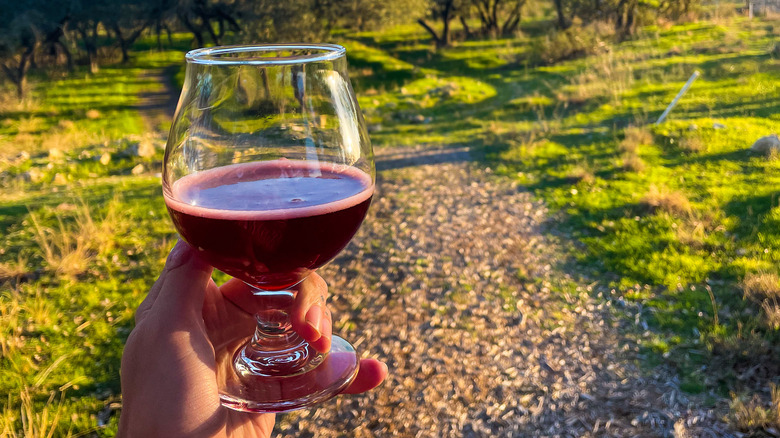 Holding beer on hiking trail