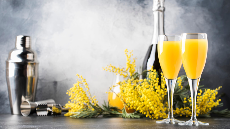 https://www.tastingtable.com/img/gallery/the-17-best-champagnes-for-mimosas/intro-1661534902.jpg
