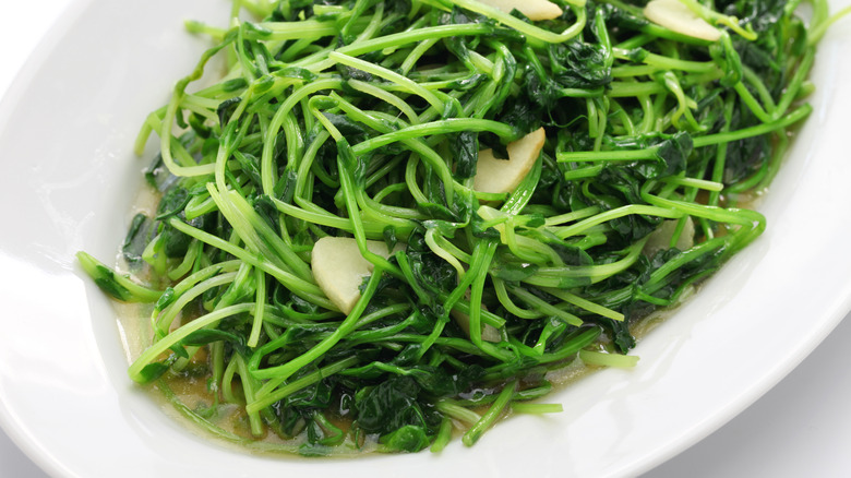 Garlic pea shoots on plate