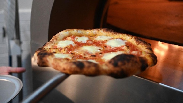 pizza wood fire oven