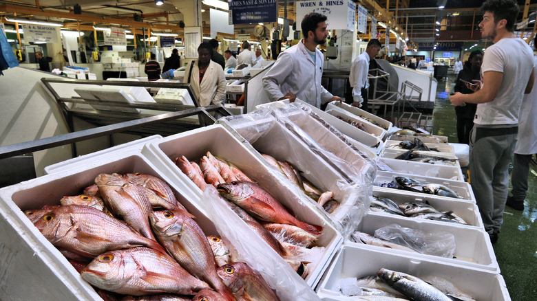 fresh fish market