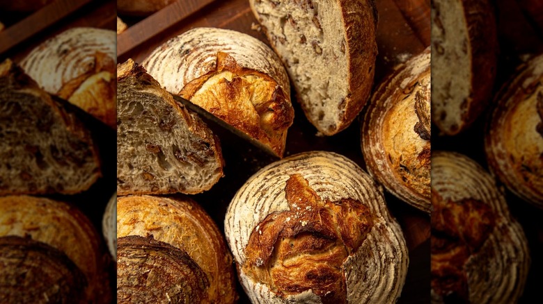 A selection of breads