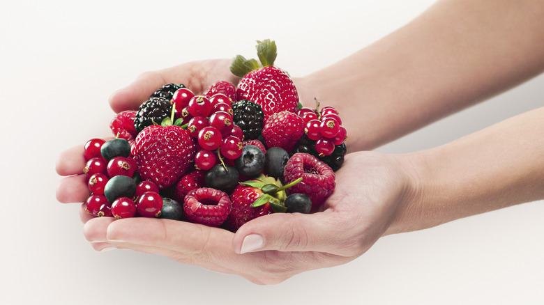 Person holding variety of berries