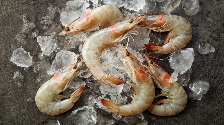 shrimp on ice