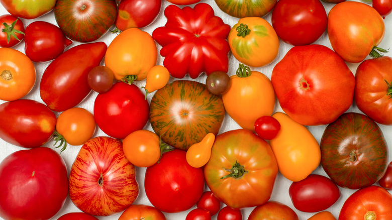 heirloom tomatoes and cherry tomatoes