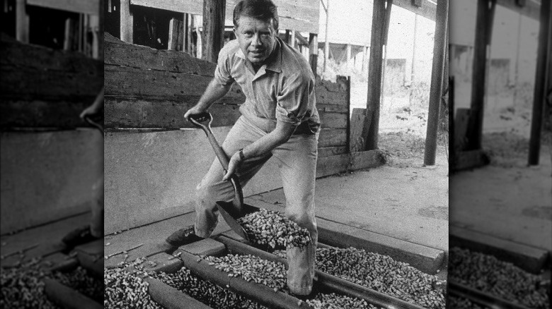 Jimmy Carter shoveling peanuts