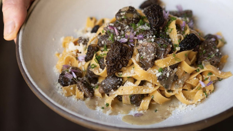 Mushroom tagliatelle at Cotogna