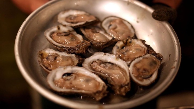 Platter of oysters on ice