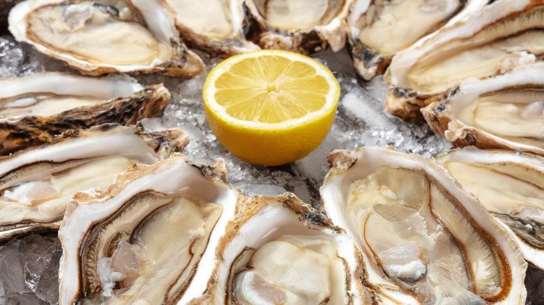 fresh oysters served with lemon