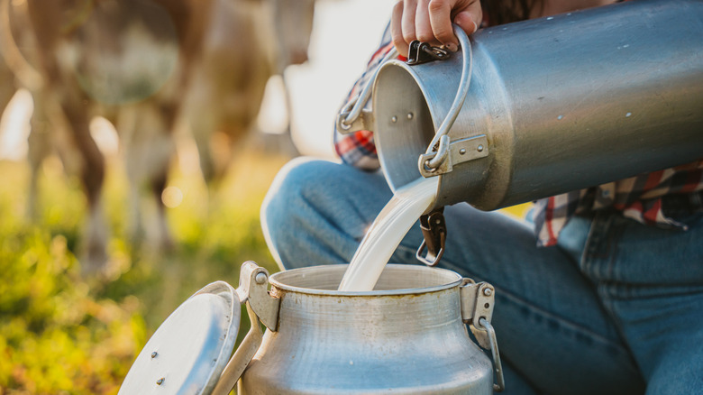 Person pouring raw milk container