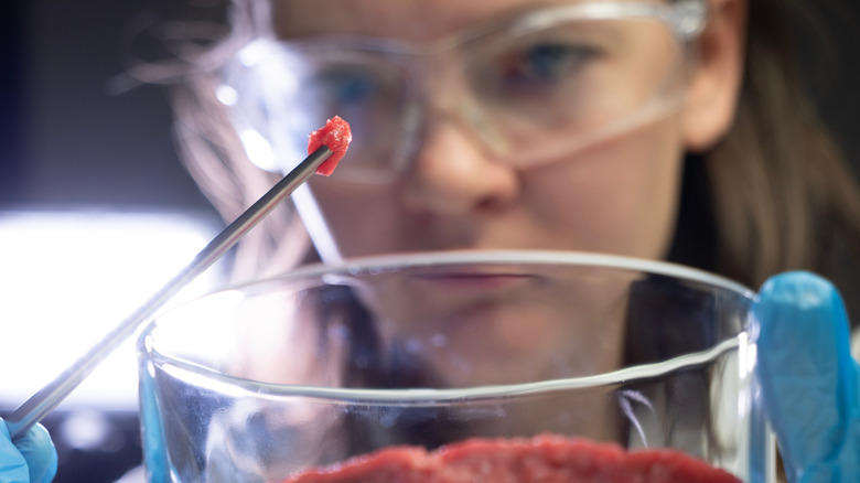 Person looking at a petri dish meat sample