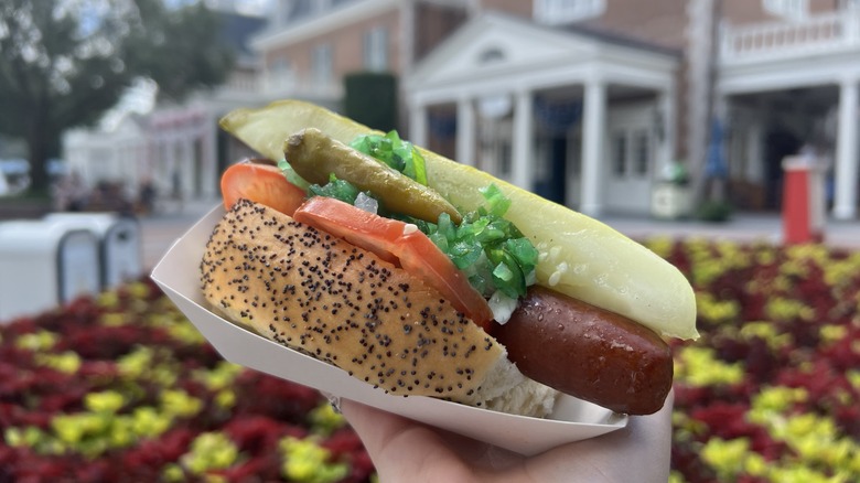 Chicago Hot Dog from Epcot