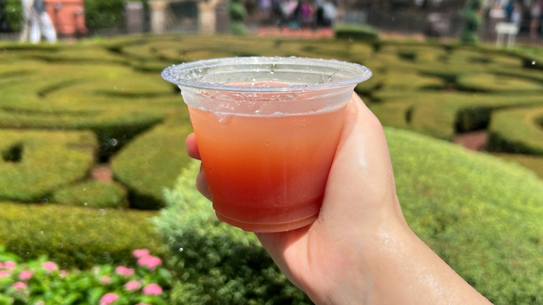 Cocktail au Gin from Epcot