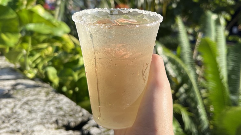 Poblano Margarita from Epcot Mexico