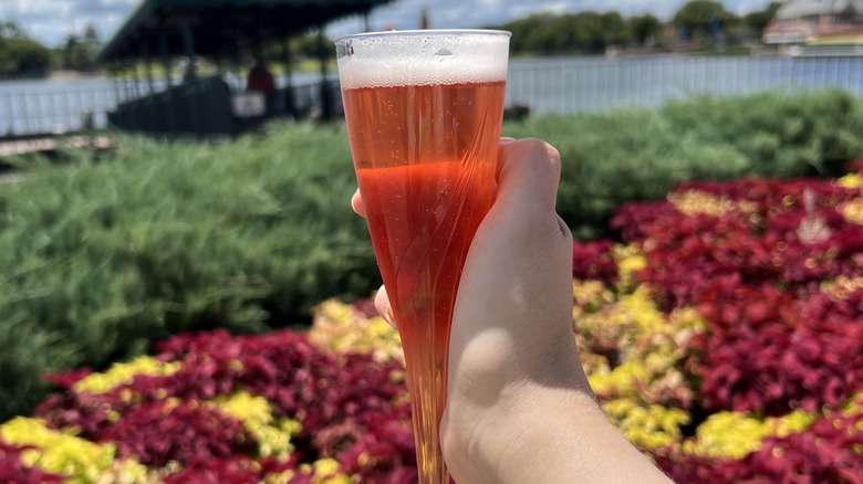 Fruited Sour Beer and Epcot