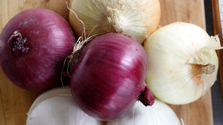 onion varieties 