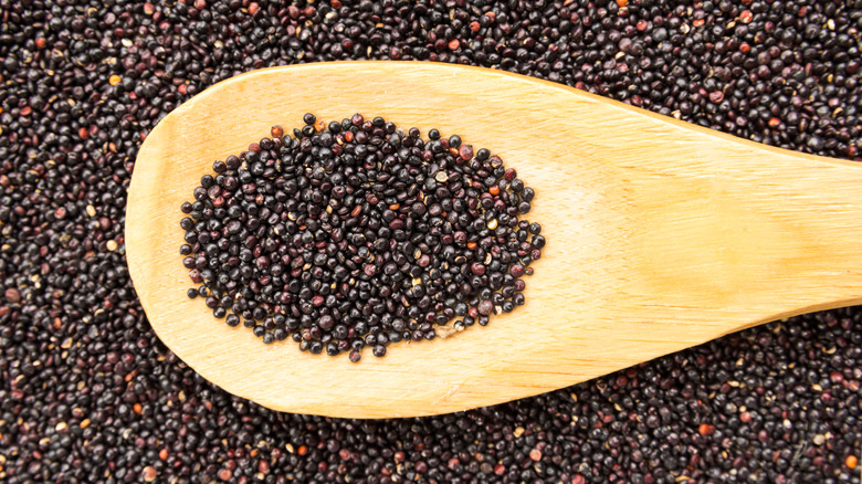 Spoonful of black quinoa