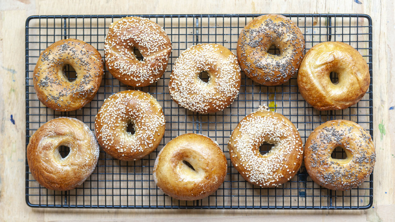 Varieties of bagels on a cooling rack