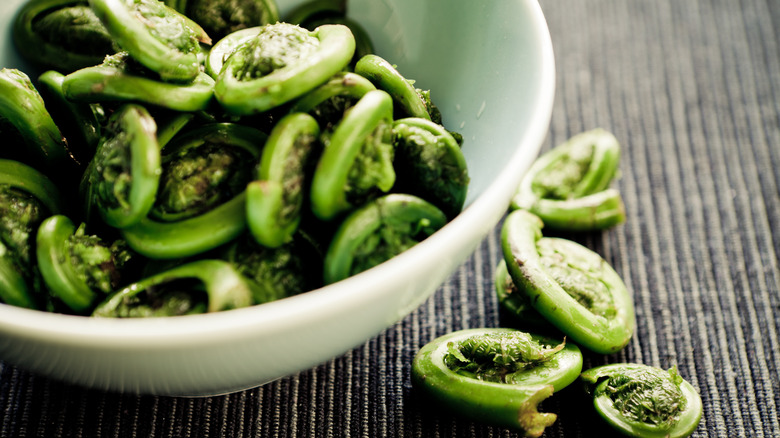 fiddlehead ferns in a bowl