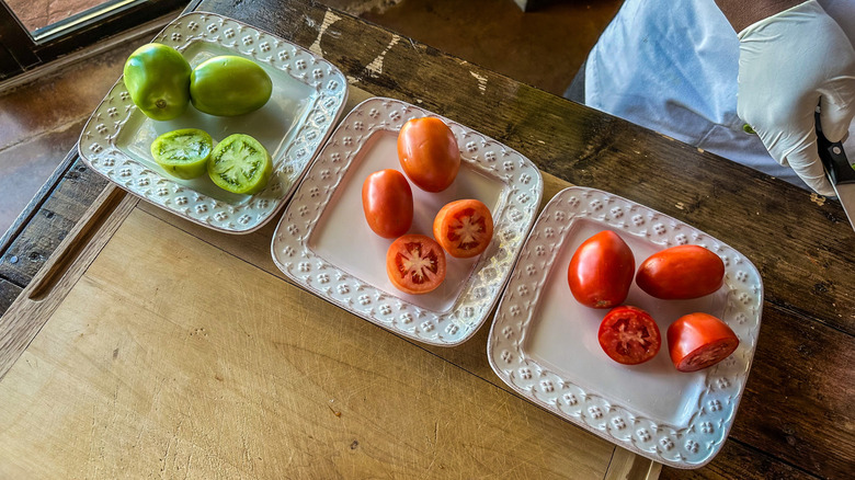 multiple tomatoes at different ripeness