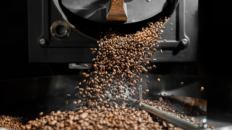 coffee beans being roasted