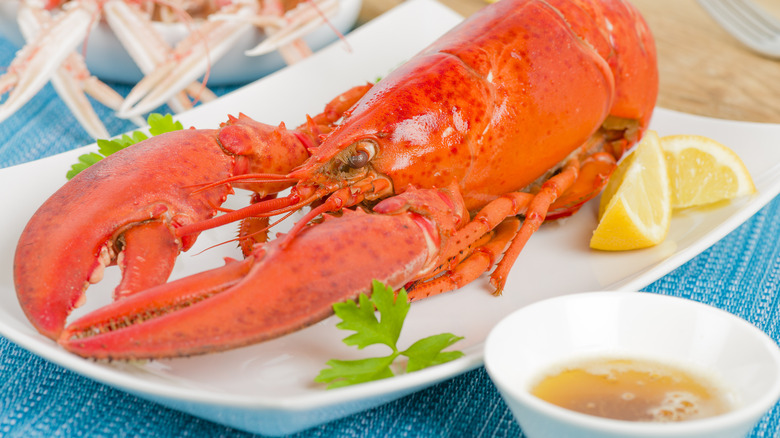 Lobster served with brown butter